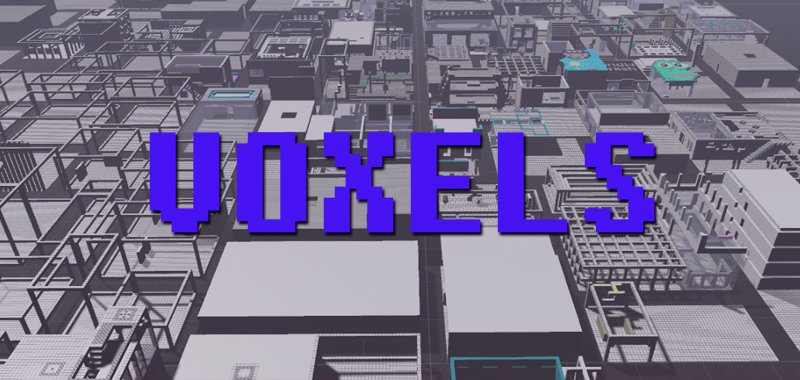 Voxel